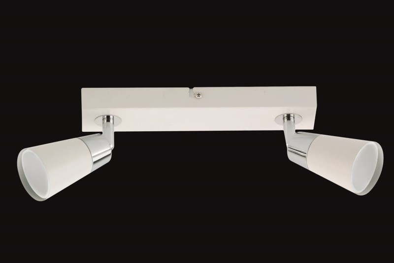 FENIKS-2 biały lampa sufitowa spot 2xGU10