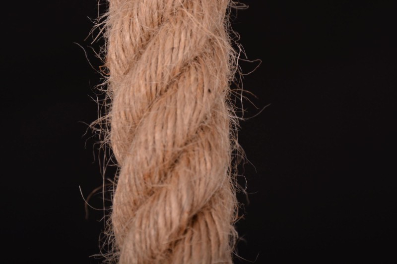 GINGER-5.jpg