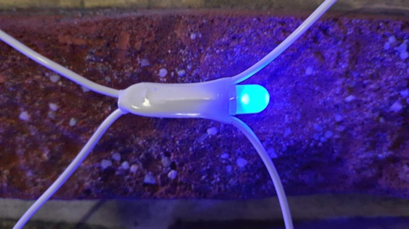 SIATKA DIODA LED.jpg